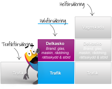 Halvförsäkring